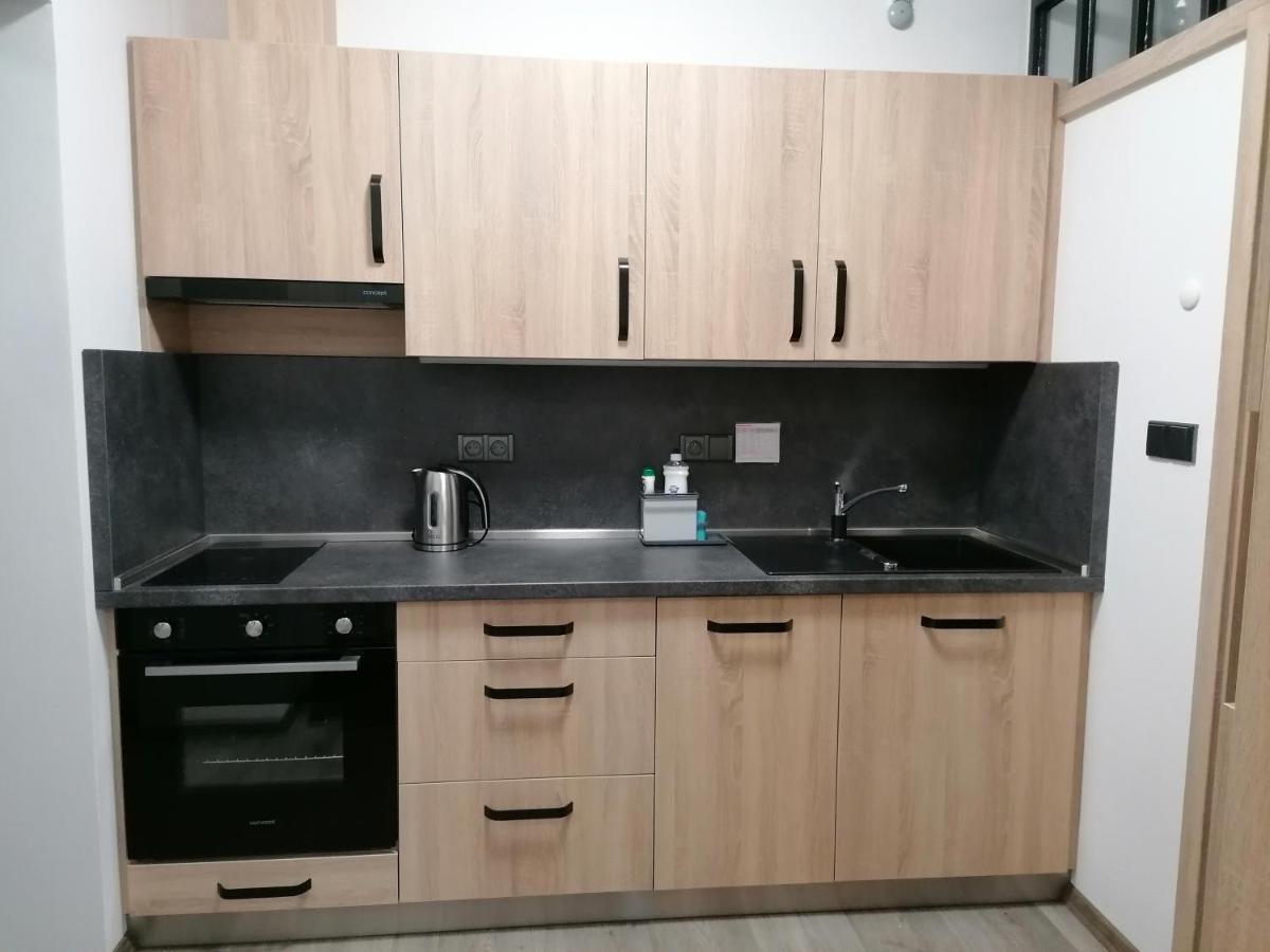 Apartman 88 Červená Voda Εξωτερικό φωτογραφία